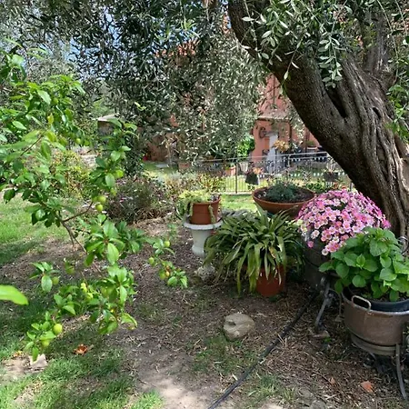 Il Poggio Del Castello Camilla בית נופש *